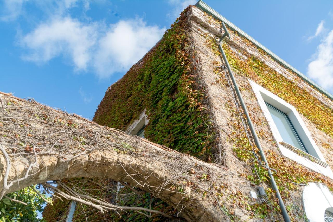 La Belle Vie B&B Santa Maria di Castellabate Exterior photo